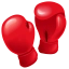 Boxing Match Live